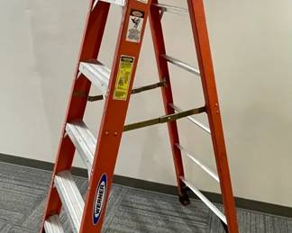 Werner 6 Foot Fiberglass Step Ladder