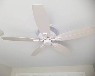 Ceiling fan