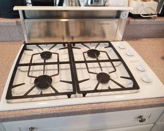Thermador cooktop with vent 