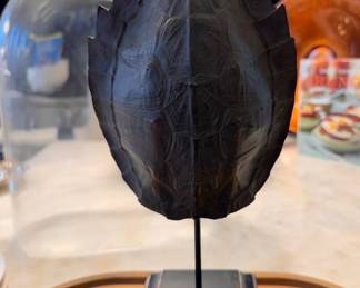 RH Black Tortoise Shell on Stand with Cloche. 