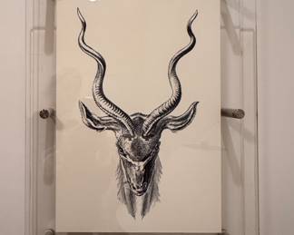 Skull Print in Lucite Frame. Measures 18" W x 24" H x 4" D. Photo 1 of 2. 