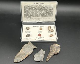 Authentic Arrowheads With What Is A Fossil Collection Guide