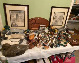 Ducks Ducks and more Ducks.