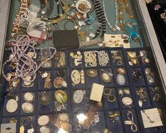 SOME ESTATE COSTUME, CAMEOS, 