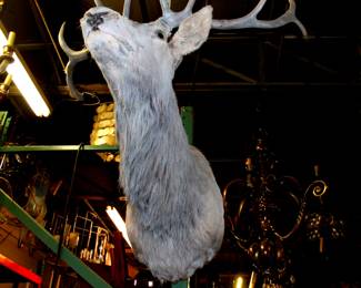 Giant 10 or 12 point elk in grey, perfect for conquering a man cave or filling up a large room with shock and wwe 