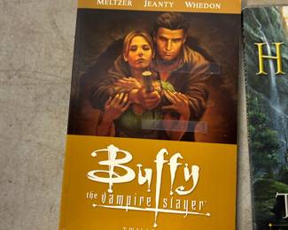 Buffy the Vampire Slayer