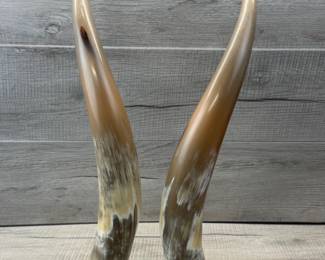 PAIR OF STEER HORNS MOUNTED ON LUCITE #steerhorn #steerhorns