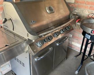 Napoleon Prestige Grill