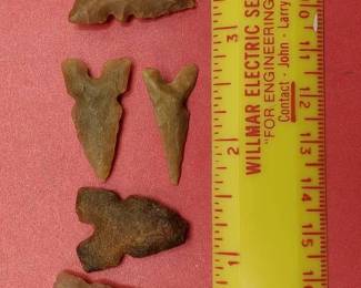 5 Bird Points from Africa**