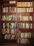 Books, this cabinet is newer books
