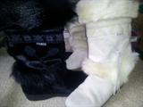 Tecnica boots