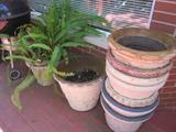 Outdoor pots and plants