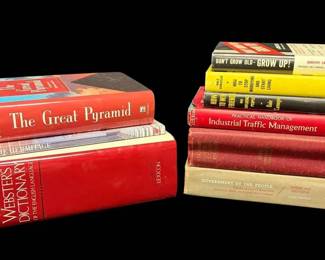 Large Websters Dictionary More Books