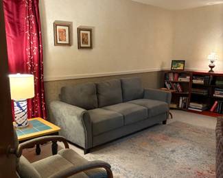 Family room furniture and rug