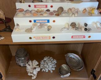 Shell collection