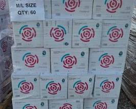 2606 Clear Vinyl Gloves