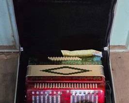 3508 Sofia Mari Accordion