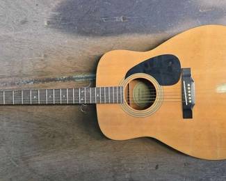 3516 Eterna Acoustic Guitar