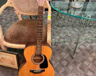 Takemine Acoustic Guitar