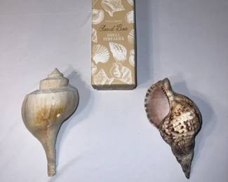 Sand Bar Shell Spreader Knife 2 Decorative Shells