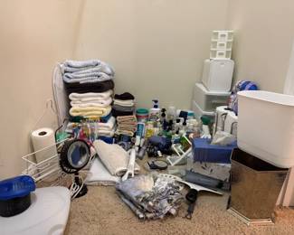 Huge Bathroom Lot