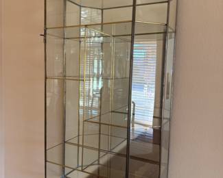 BRASS TRIMMED CURIO CASE