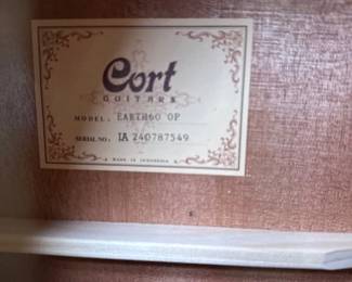 Cort Guitar