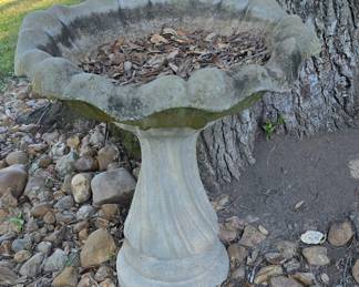 Bird Bath