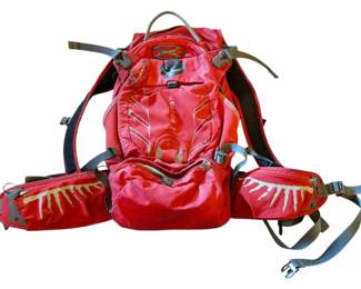 Raptor 14 Hydration Backpack