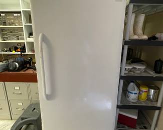 Standing large freezer 