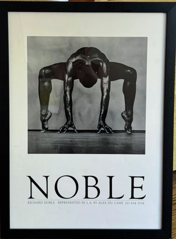 Richard Noble exhibition poster.