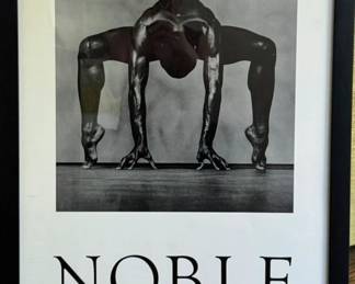 Richard Noble exhibition poster.