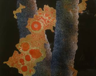 Modern color etching.