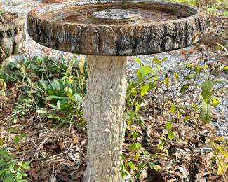 Bird Bath