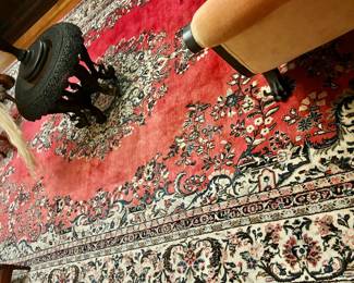 Oriental Rug 11' by 19'