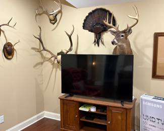 Turkey Fan Mount
