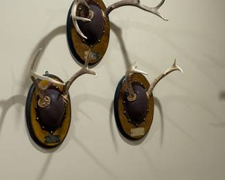 Deer Antler Mounts