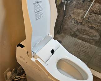 Robotic toilet with bells and whistles $500