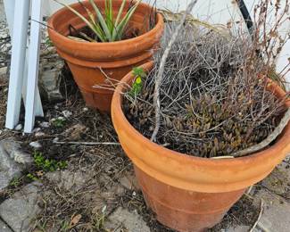 Large terracotta planters $20 each