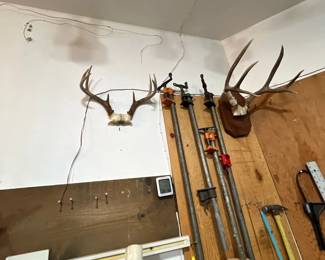 Antler racks