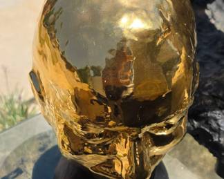 William Iaculla head.