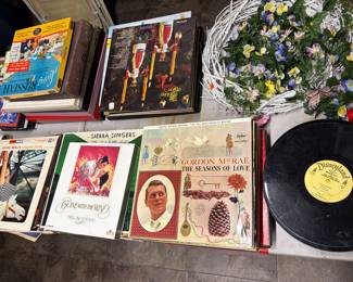 Vinyls vinyl records