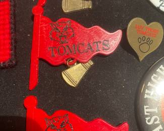 Vintage East Aurora HS "Tomcats" school spirit pins