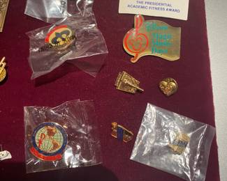 Collection of Pin Back Buttons and Pins