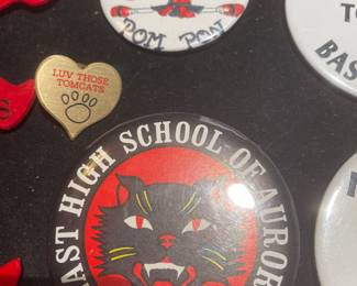 Vintage East Aurora HS "Tomcats" Pin Back Buttons