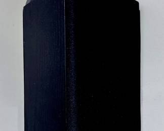 Definitive Speakers (We have two of these)