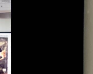 Definitive Speakers (We have two of these)