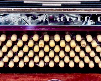 Vintage Accordion with Case