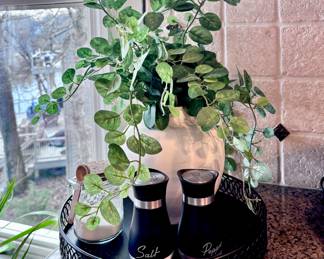 Serving Tray, Salt and Pepper Shakers and Plant