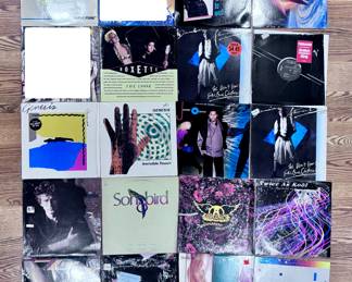 Records / Record Albums (The homeowner’s daughter did take a few records and 45s when she came in town,  but she did not take anything valuable. I white / blocked out what she kept) The rest are available.